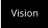 Vision