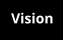 Vision